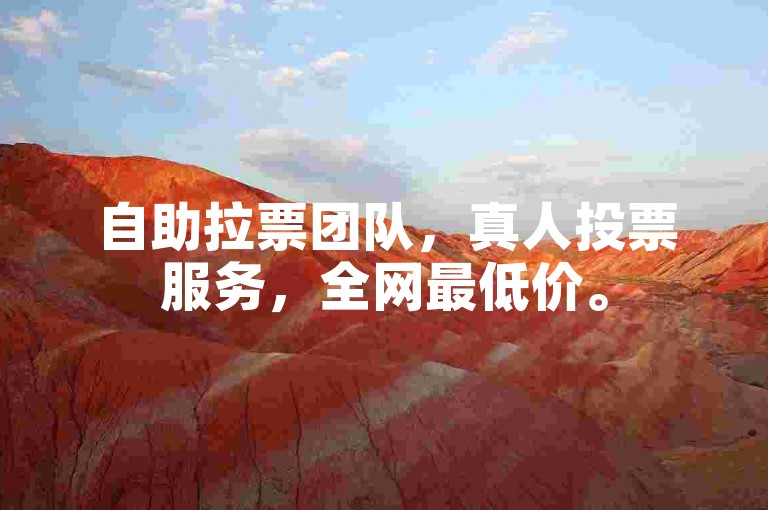 自助拉票团队，真人投票服务，全网最低价。