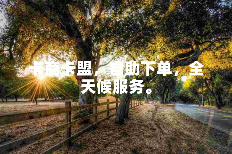 卡商卡盟，自助下单，全天候服务。