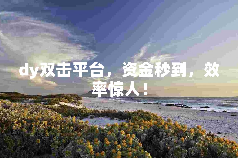 dy双击平台，资金秒到，效率惊人！