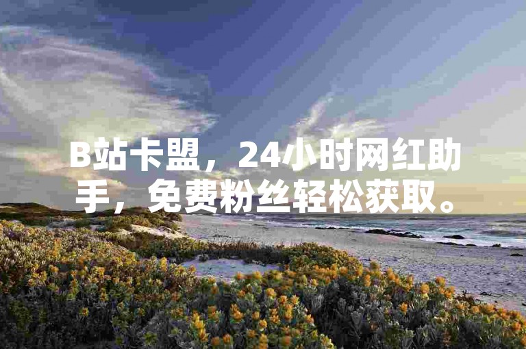 B站卡盟，24小时网红助手，免费粉丝轻松获取。