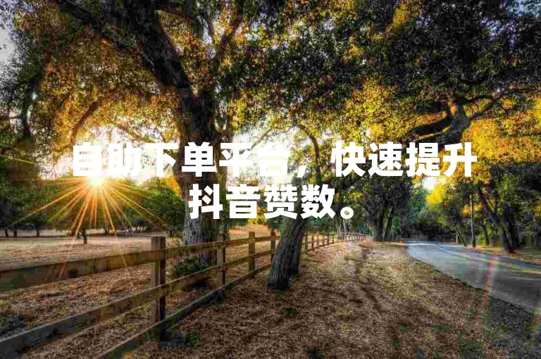 自助下单平台，快速提升抖音赞数。