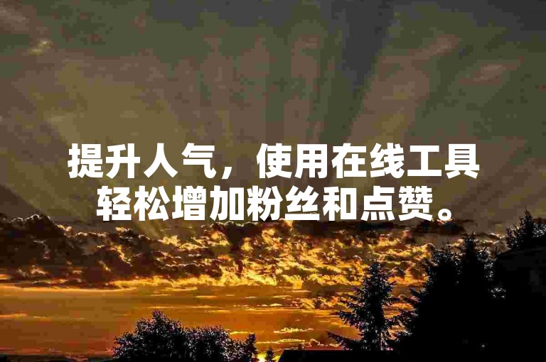 提升人气，使用在线工具轻松增加粉丝和点赞。