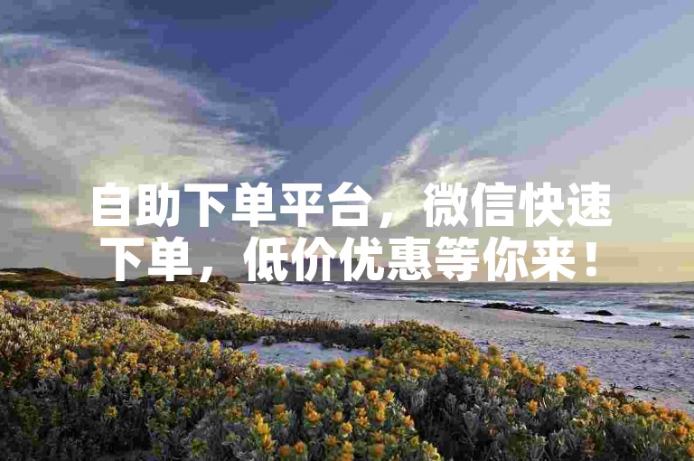 自助下单平台，微信快速下单，低价优惠等你来！