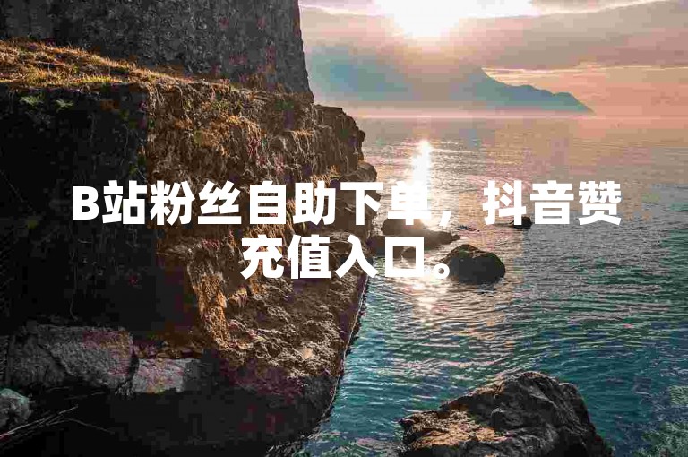 B站粉丝自助下单，抖音赞充值入口。