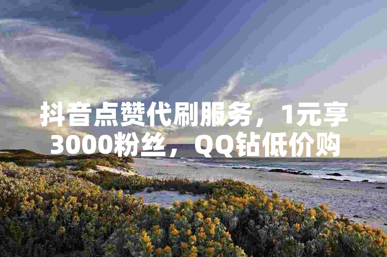 抖音点赞代刷服务，1元享3000粉丝，QQ钻低价购买。