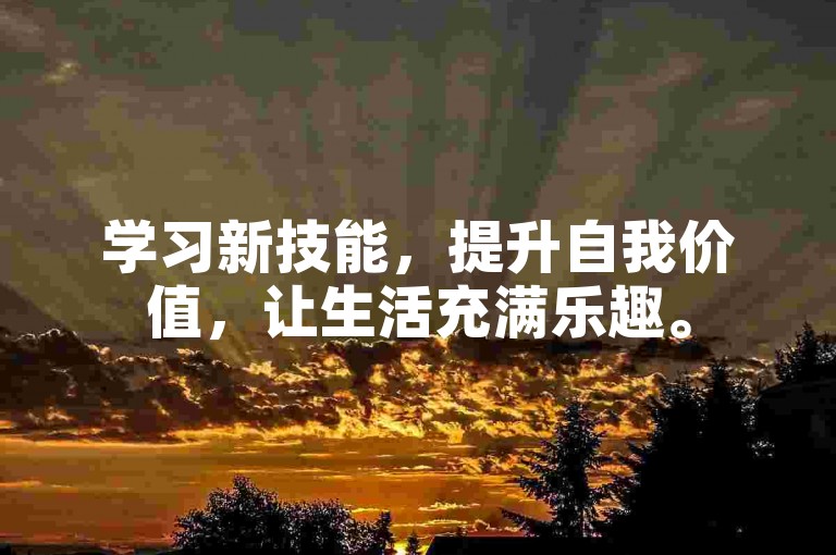 学习新技能，提升自我价值，让生活充满乐趣。