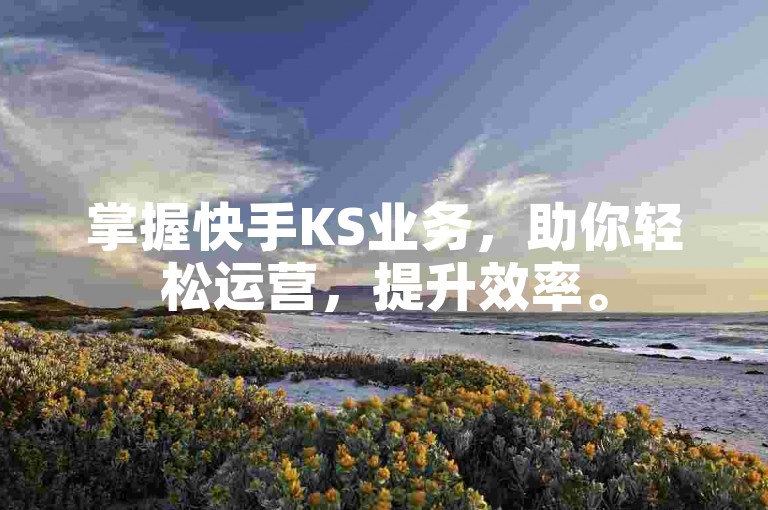 掌握快手KS业务，助你轻松运营，提升效率。