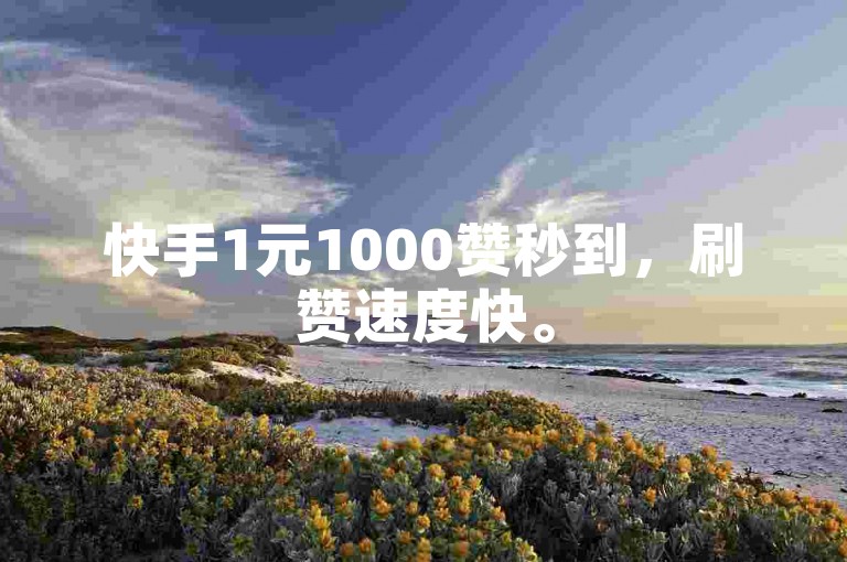 快手1元1000赞秒到，刷赞速度快。