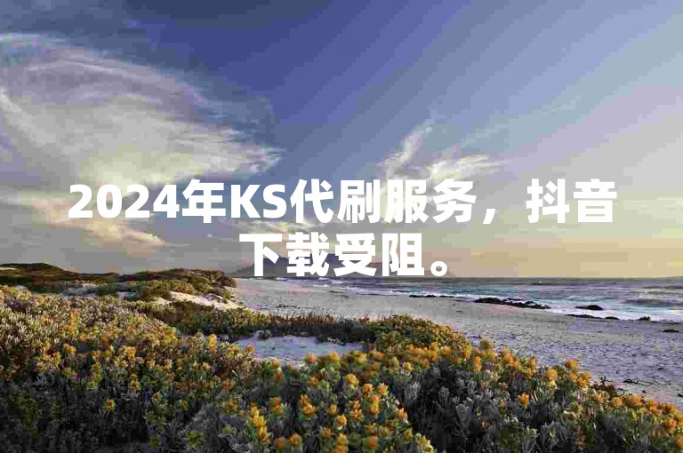 2024年KS代刷服务，抖音下载受阻。