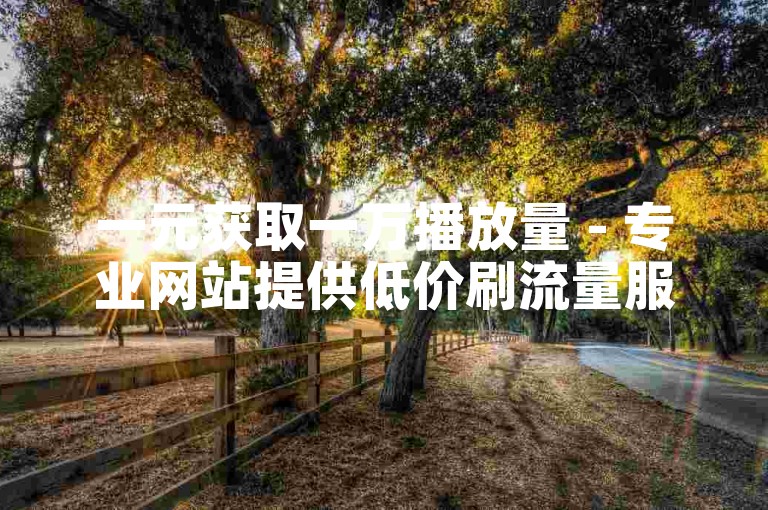 一元获取一万播放量 - 专业网站提供低价刷流量服务。