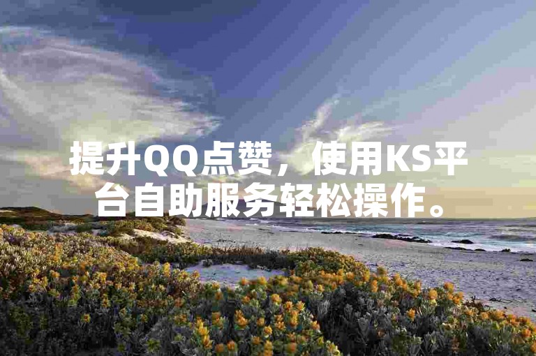 提升QQ点赞，使用KS平台自助服务轻松操作。