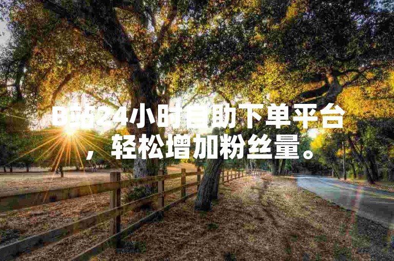 B站24小时自助下单平台，轻松增加粉丝量。