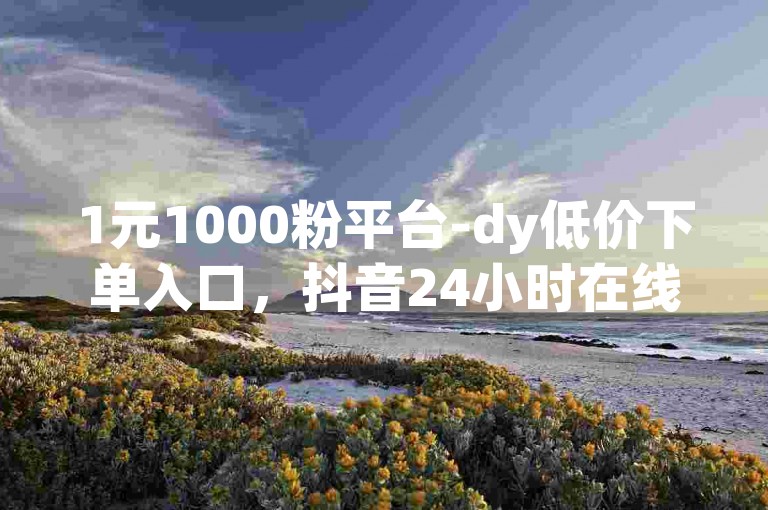 1元1000粉平台-dy低价下单入口，抖音24小时在线下单网站。