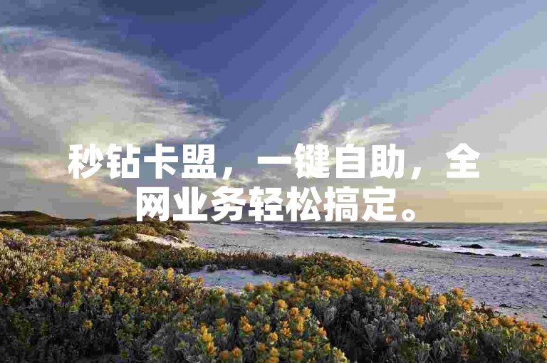 秒钻卡盟，一键自助，全网业务轻松搞定。