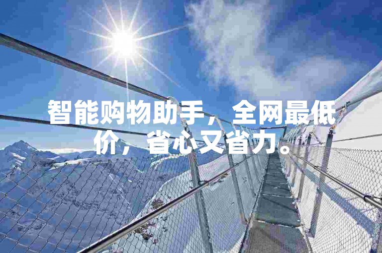 智能购物助手，全网最低价，省心又省力。