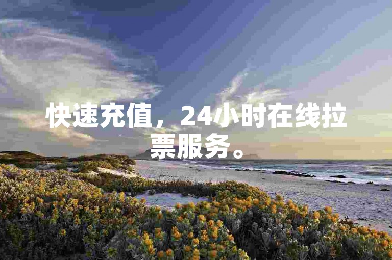 快速充值，24小时在线拉票服务。