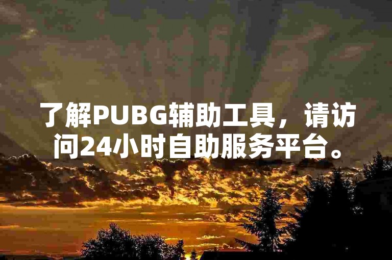了解PUBG辅助工具，请访问24小时自助服务平台。