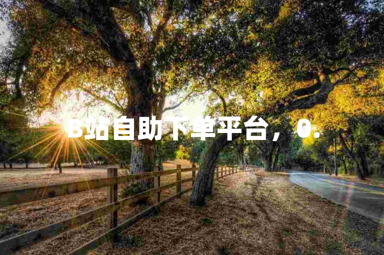 B站自助下单平台，0.5元即可获得1000个赞。