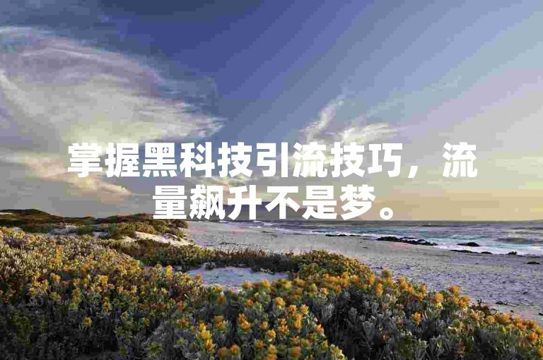 掌握黑科技引流技巧，流量飙升不是梦。