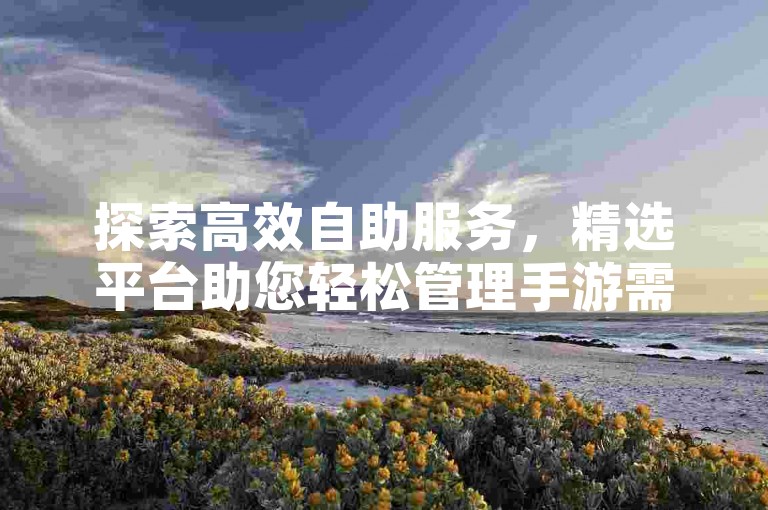 探索高效自助服务，精选平台助您轻松管理手游需求。