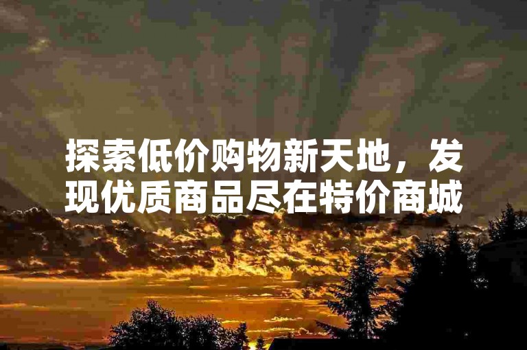 探索低价购物新天地，发现优质商品尽在特价商城。