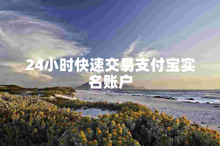 24小时快速交易支付宝实名账户