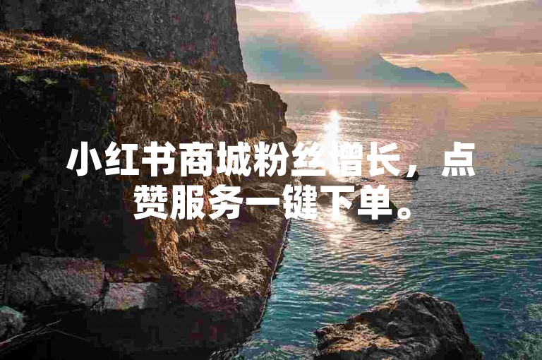 小红书商城粉丝增长，点赞服务一键下单。