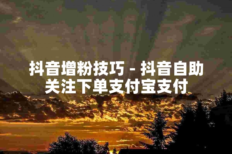 抖音增粉技巧 - 抖音自助关注下单支付宝支付