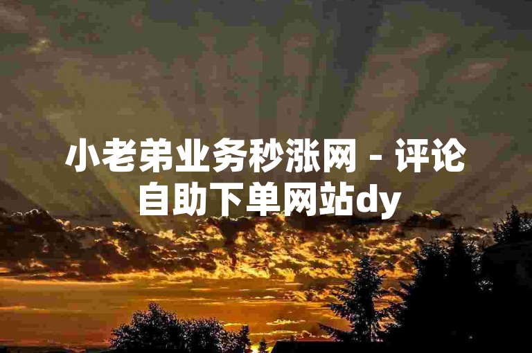 小老弟业务秒涨网 - 评论自助下单网站dy