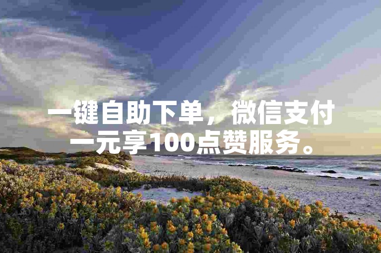 一键自助下单，微信支付一元享100点赞服务。