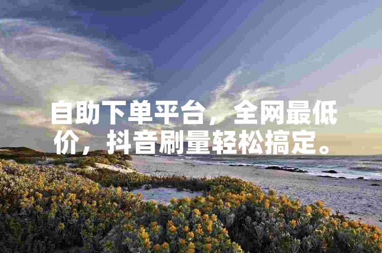 自助下单平台，全网最低价，抖音刷量轻松搞定。