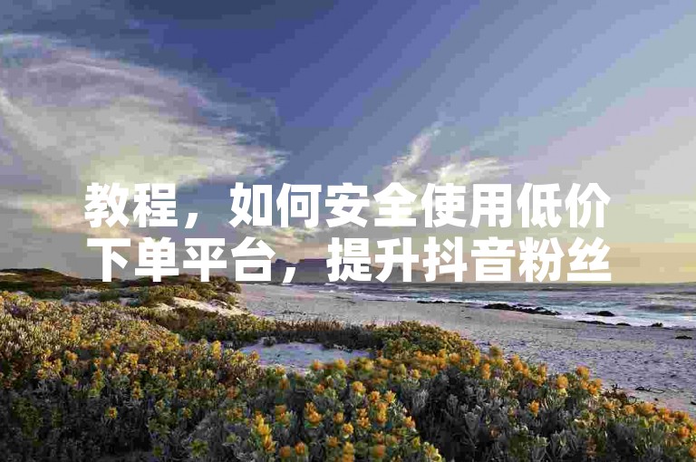 教程，如何安全使用低价下单平台，提升抖音粉丝数量。