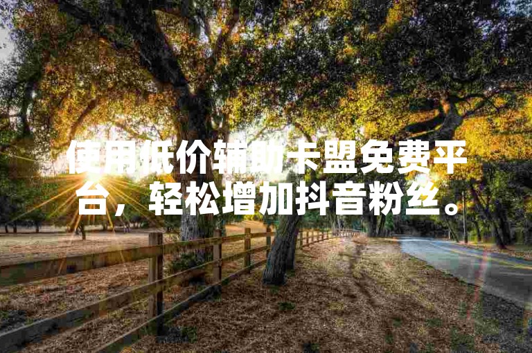 使用低价辅助卡盟免费平台，轻松增加抖音粉丝。