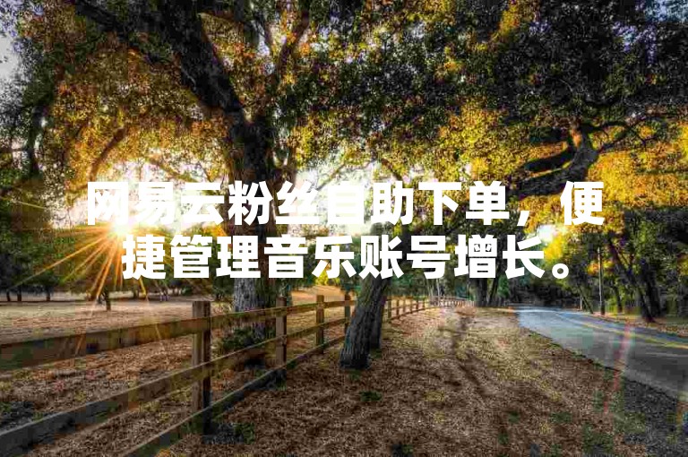 网易云粉丝自助下单，便捷管理音乐账号增长。