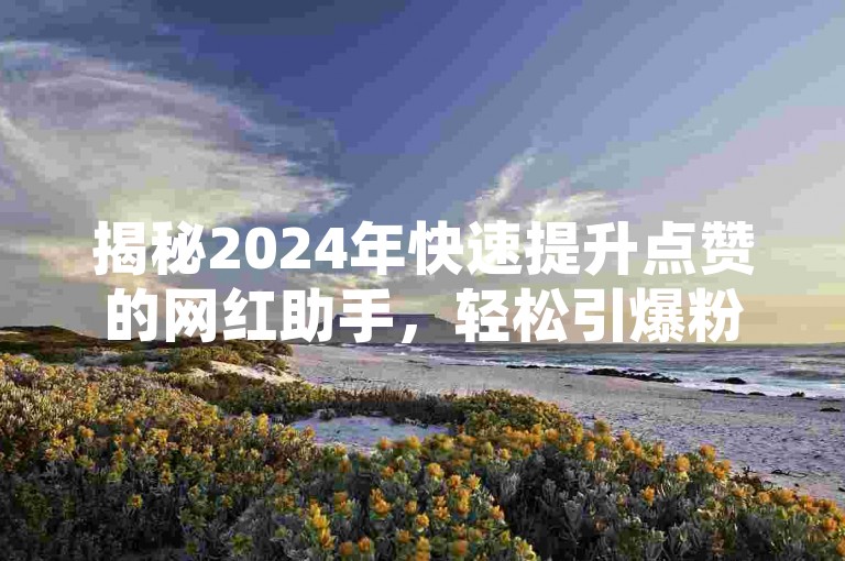 揭秘2024年快速提升点赞的网红助手，轻松引爆粉丝效应！