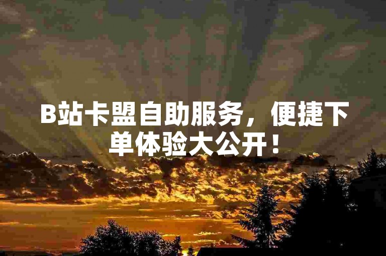 B站卡盟自助服务，便捷下单体验大公开！