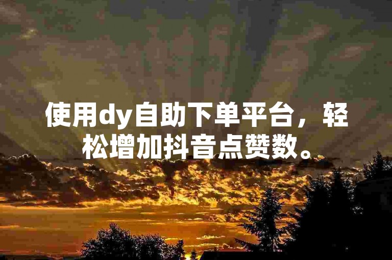 使用dy自助下单平台，轻松增加抖音点赞数。