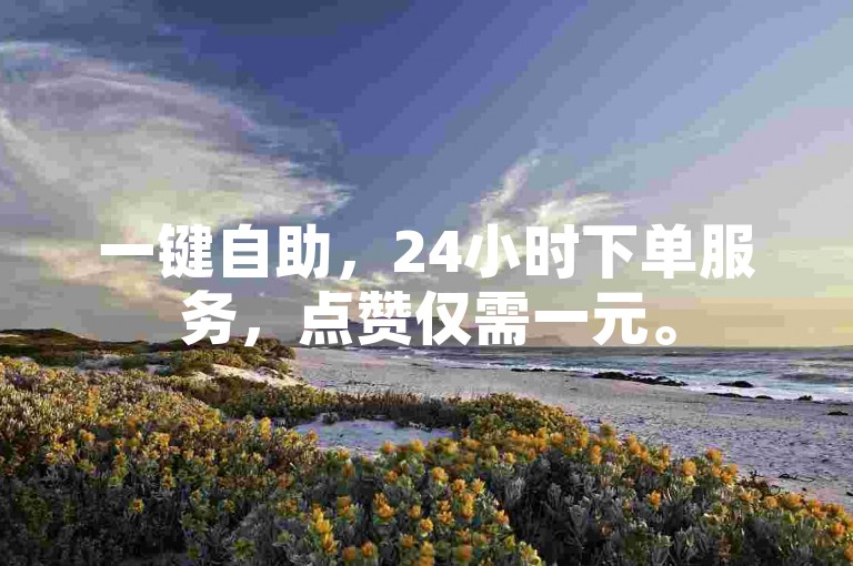 一键自助，24小时下单服务，点赞仅需一元。