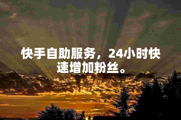 快手自助服务，24小时快速增加粉丝。