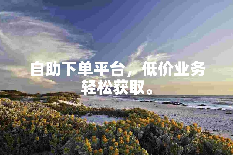自助下单平台，低价业务轻松获取。