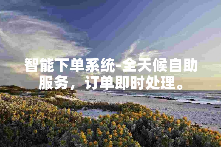 智能下单系统-全天候自助服务，订单即时处理。