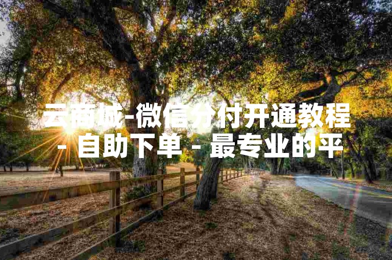 云商城-微信分付开通教程 - 自助下单 - 最专业的平台