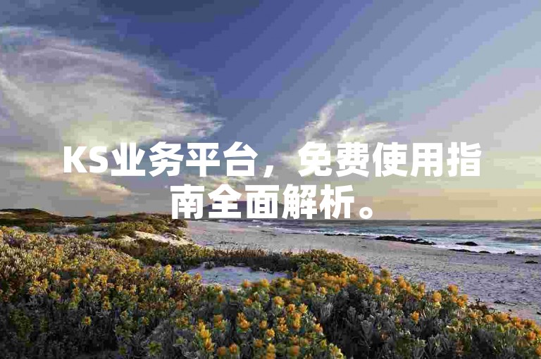 KS业务平台，免费使用指南全面解析。
