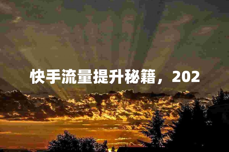 快手流量提升秘籍，2025必备工具大公开！