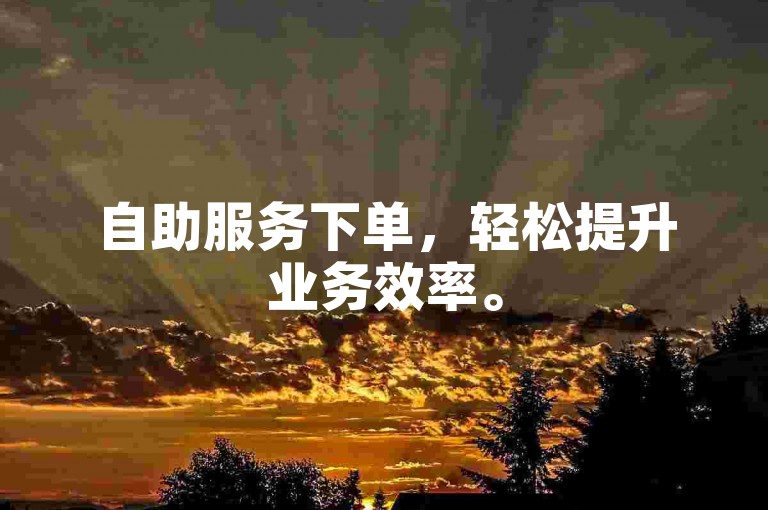 自助服务下单，轻松提升业务效率。