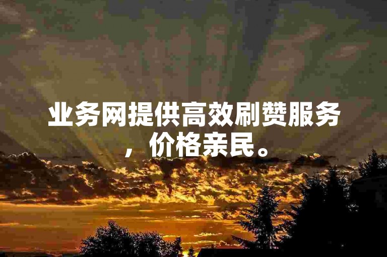 业务网提供高效刷赞服务，价格亲民。