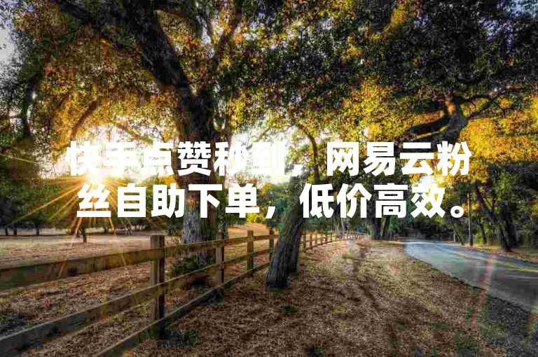 快手点赞秒到，网易云粉丝自助下单，低价高效。