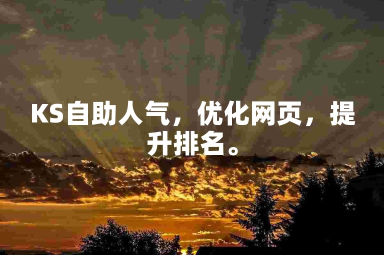 KS自助人气，优化网页，提升排名。