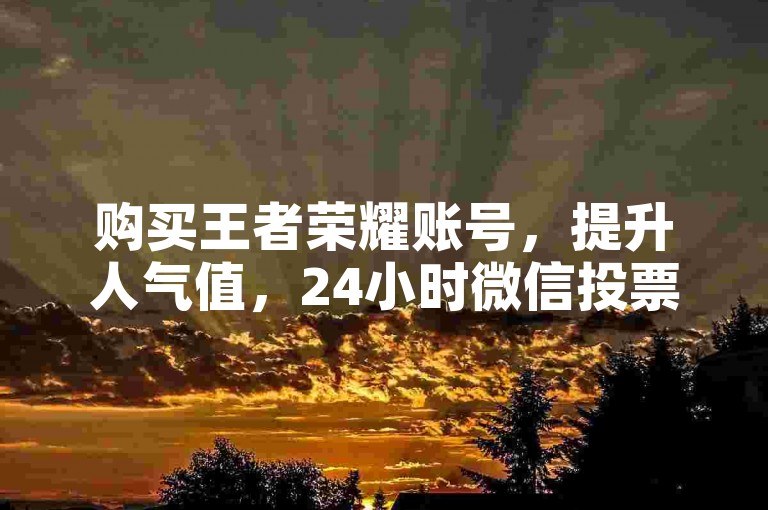 购买王者荣耀账号，提升人气值，24小时微信投票服务。