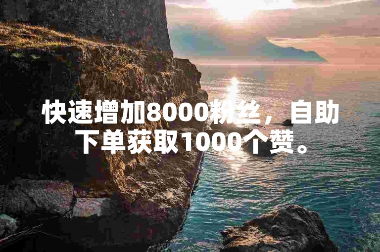 快速增加8000粉丝，自助下单获取1000个赞。